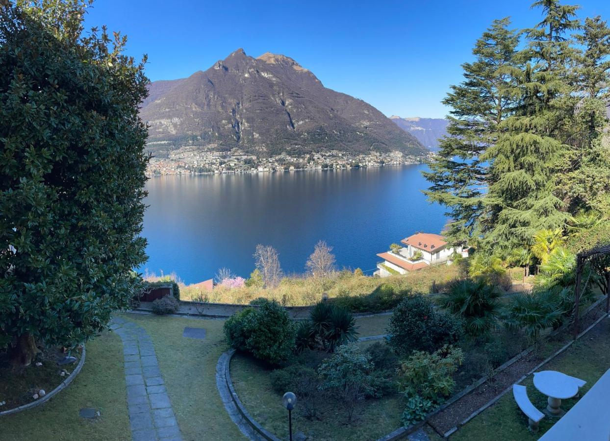 Lake Como Villa Ines Junior Apartment Faggeto Lario المظهر الخارجي الصورة